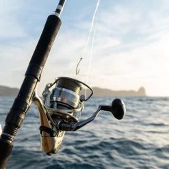 Okuma Coronado CDX 80 Baitfeeder Reel -Okuma Sale Store okuma coronado 6 2